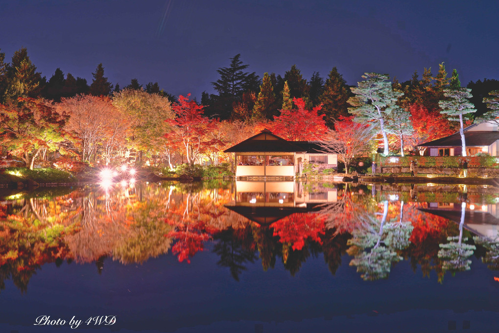 昭和記念公園　秋の夜散歩