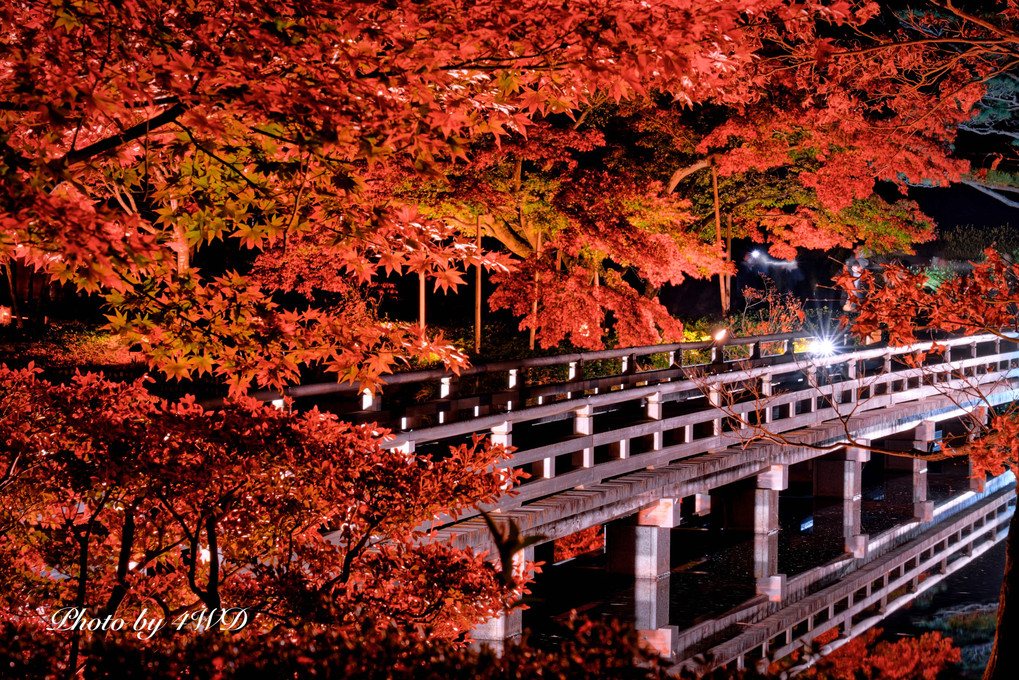 昭和記念公園　秋の夜散歩 2