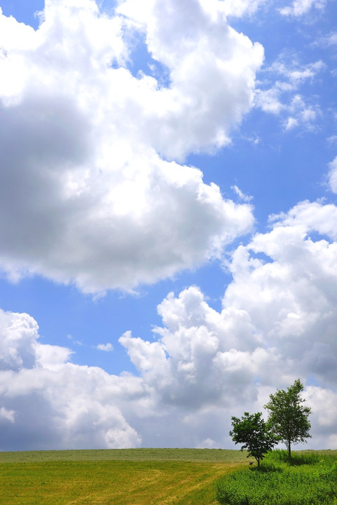 夏雲 （美瑛）