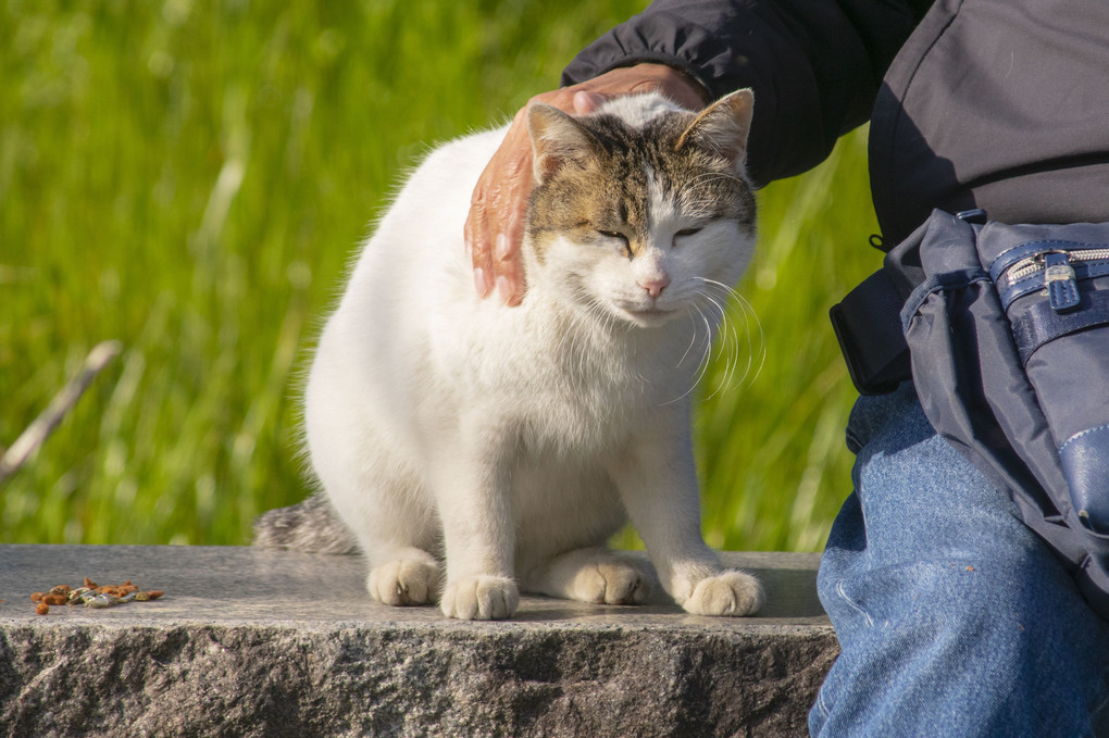 おじいちゃんの日課