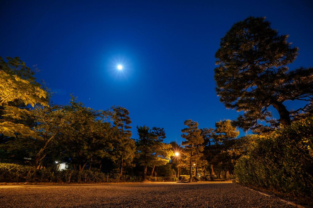 夜警、祇園界隈。