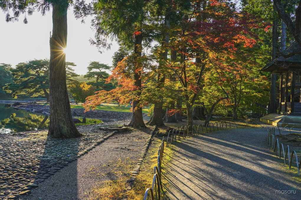浄土庭園、秋を迎える。