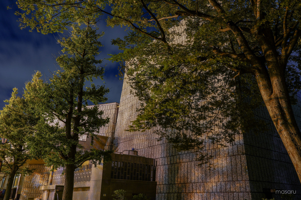 建築の夜 - 東京文化会館