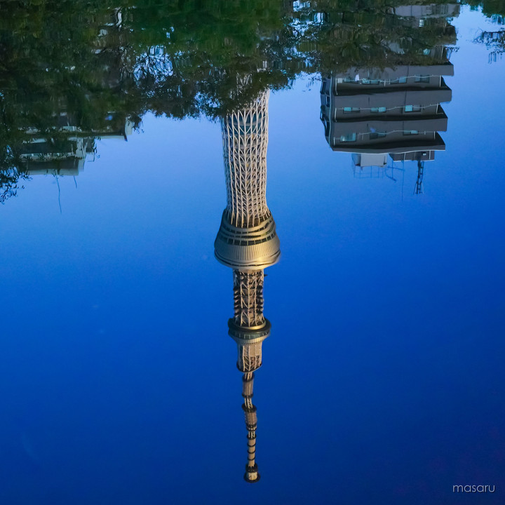 The Tower in The Water