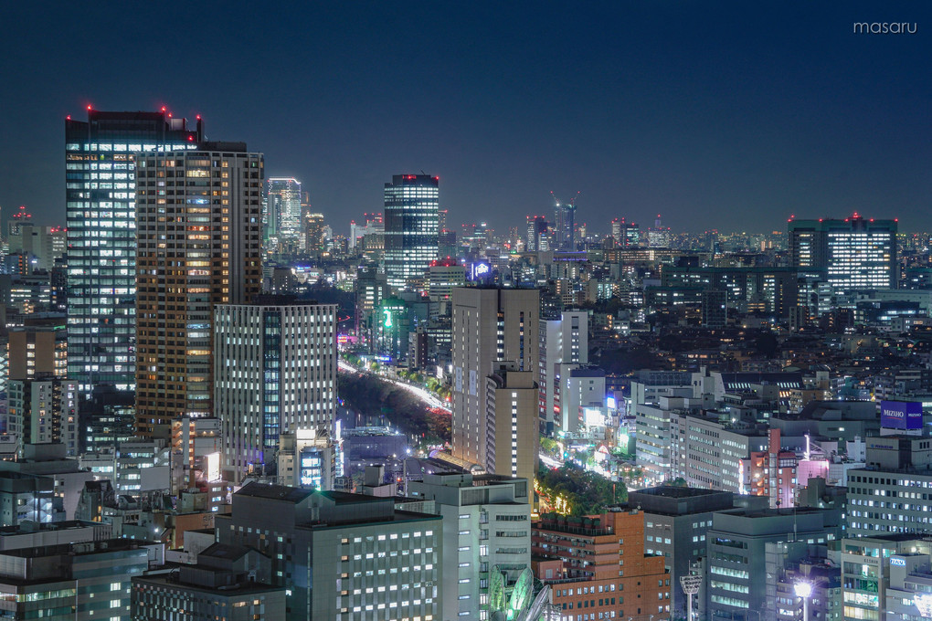 光の海、東京。