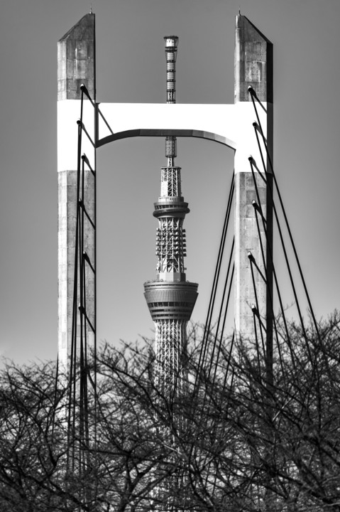 mono tower