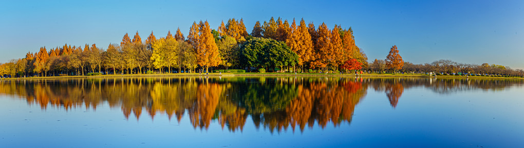 Autumn Park Reflection - APR