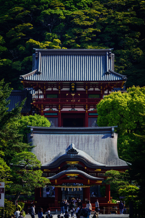 「鎌倉殿、其の弐」