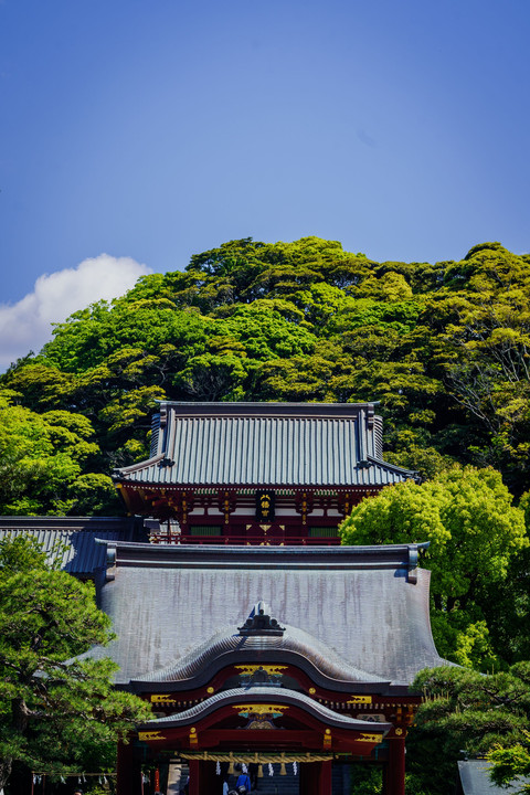 「鎌倉殿、其の弐」