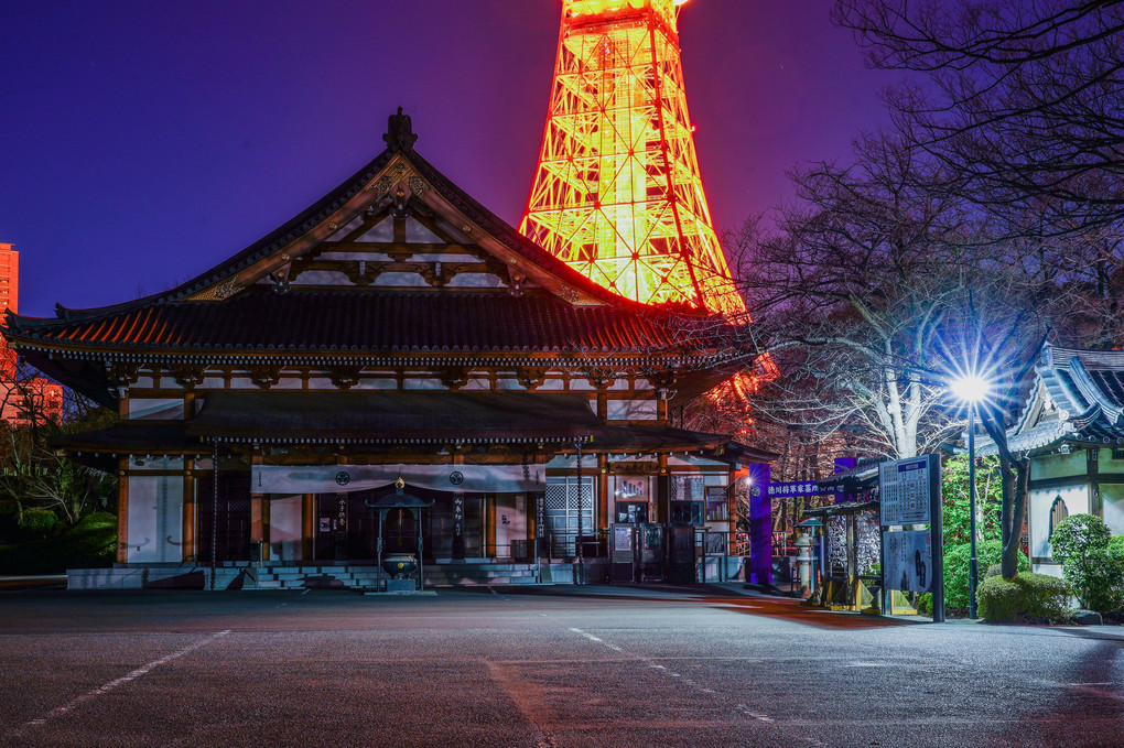 Tokyo Night Temple