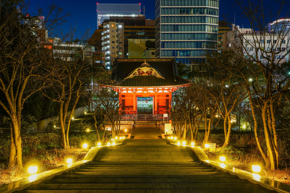 Tokyo Night Temple