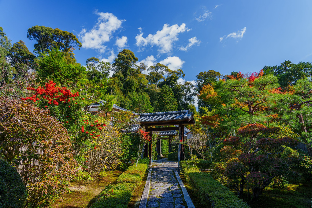 月輪、即宗院。