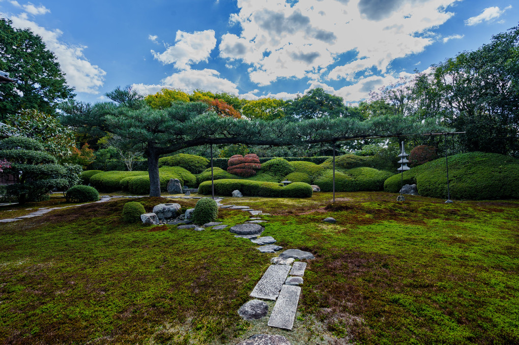 玄武と朱雀、一華院。