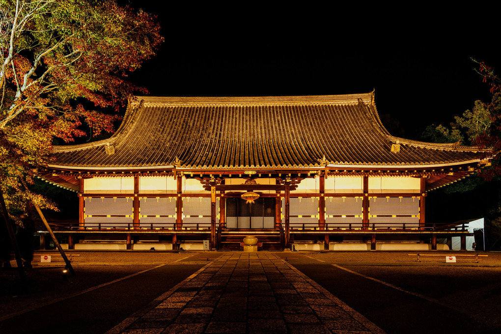 錦秋の夜、仁和寺。