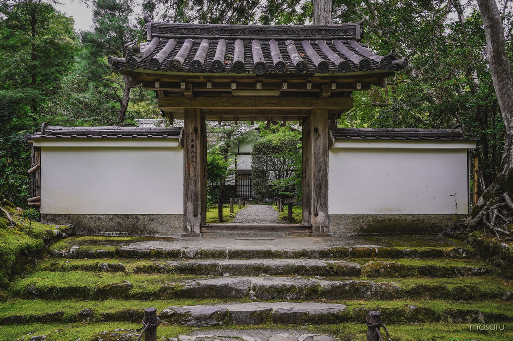 竹の寺、地蔵院。