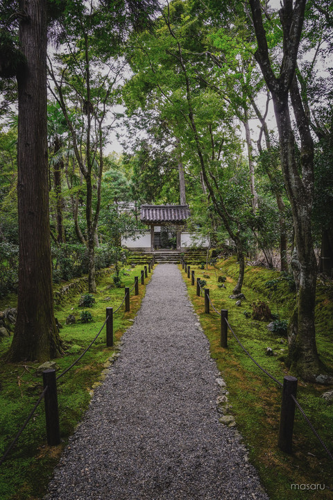竹の寺、地蔵院。