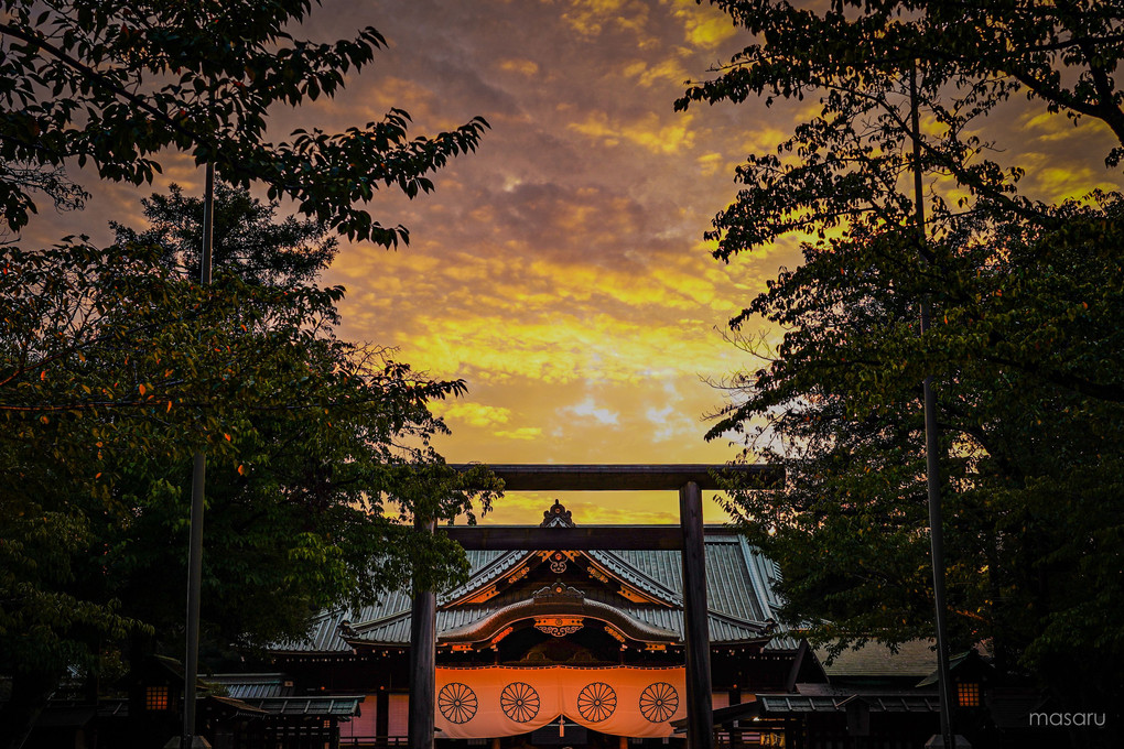 秋を迎えた社 - 江戸東京の寺社
