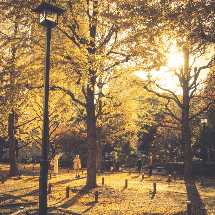 Autumn Sunday Afternoon - 近所の公園の紅葉 -Ⅶ