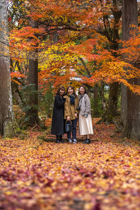 龍穏寺 上も下も紅葉♪