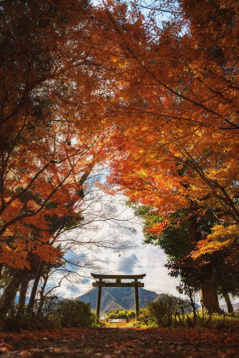 紅葉と北条鉄道②