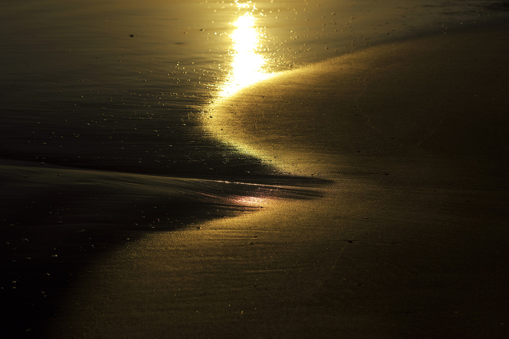 渚の光と影　
