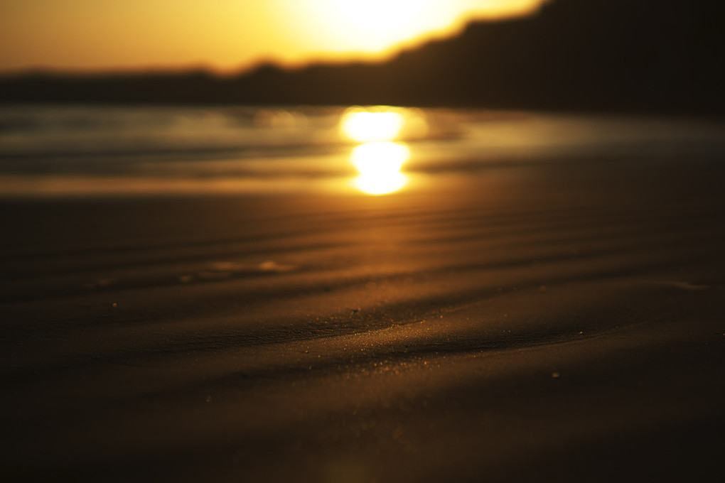 渚の光と影　