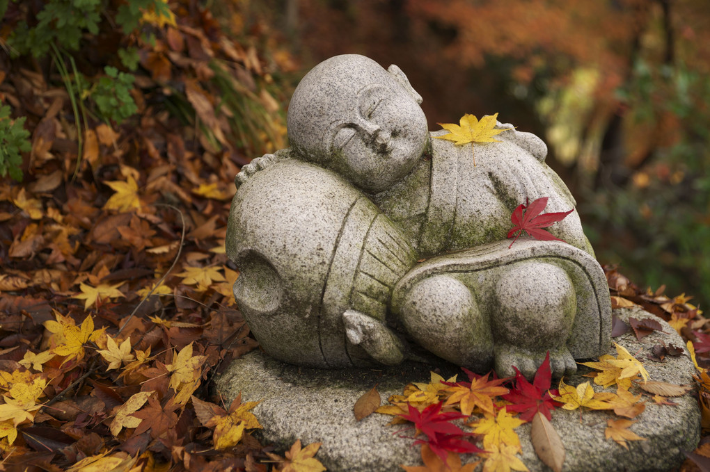 錦秋のもみじ寺