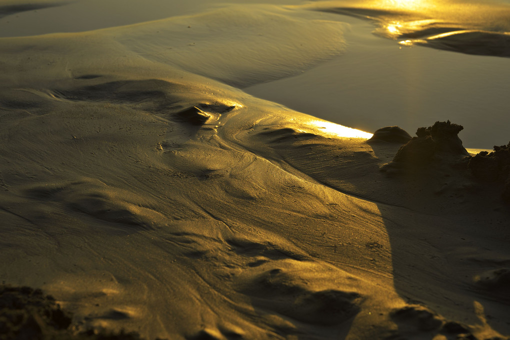 荒れる夕照の渚