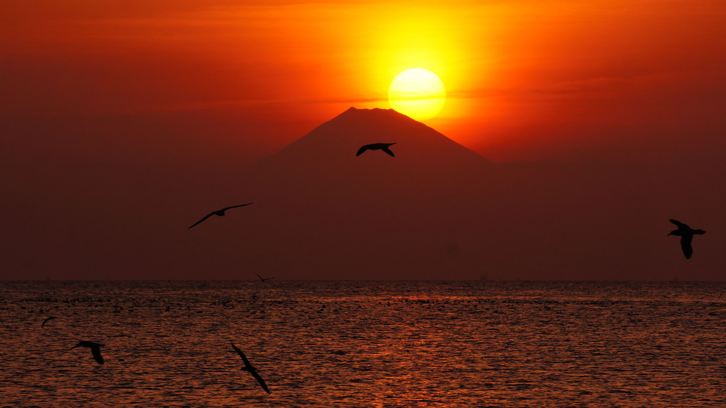 Mt.Fuji@Tateyama