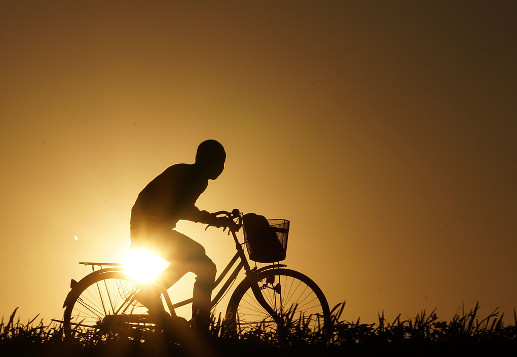 夕陽に自転車（部活帰りかな）