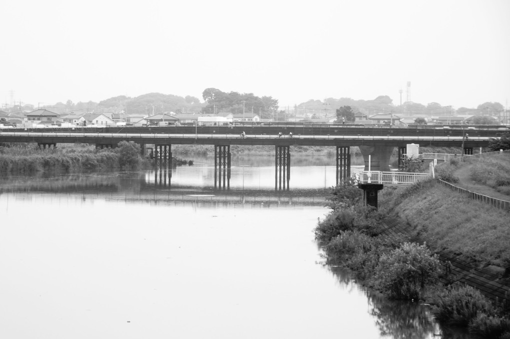 吉川を流れる「中川」沿いを歩きました