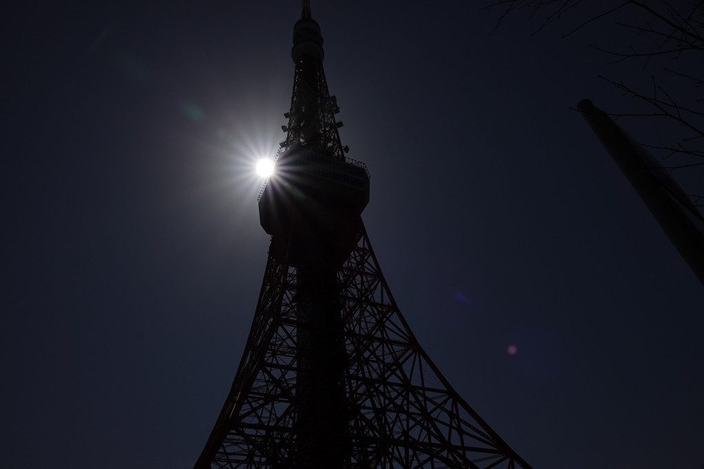 「東京タワー」をシルエットで、カシャッです。