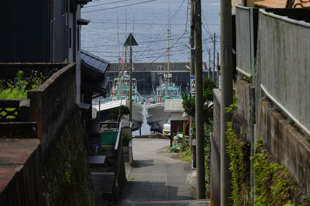 千葉県外房・勝浦の自然と風景(組写真)