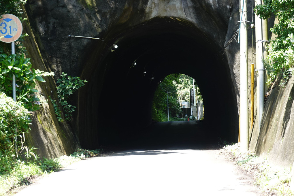 トンネル・ウオーキング
