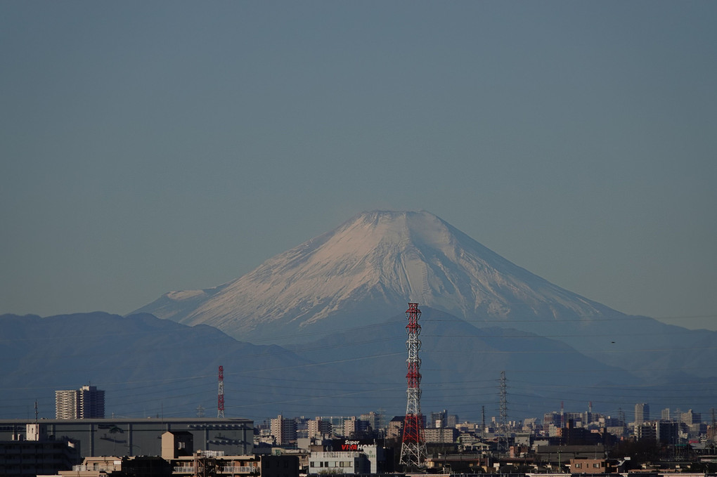 おはよう「富士山」