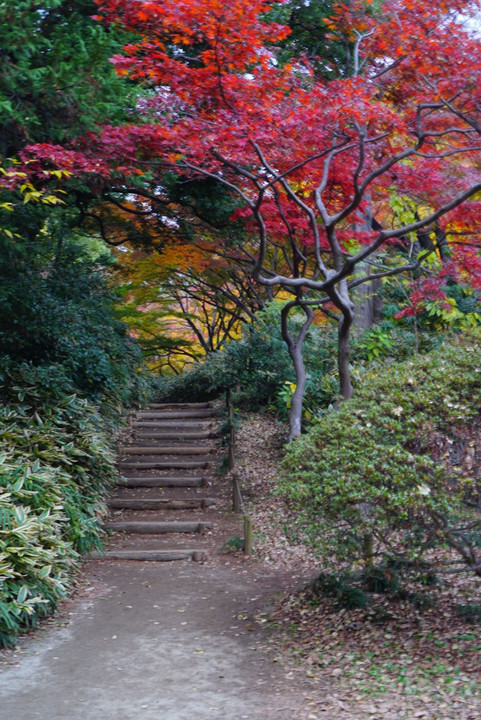 六義園