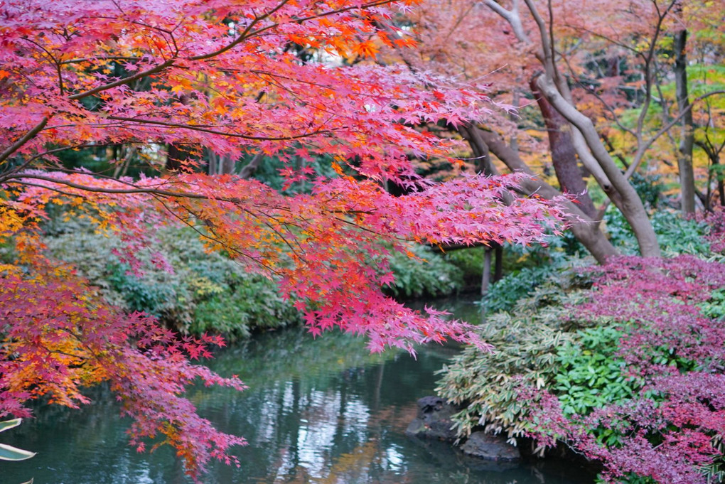 六義園