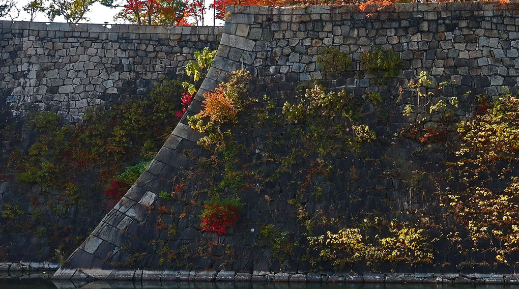 秋化粧した石垣