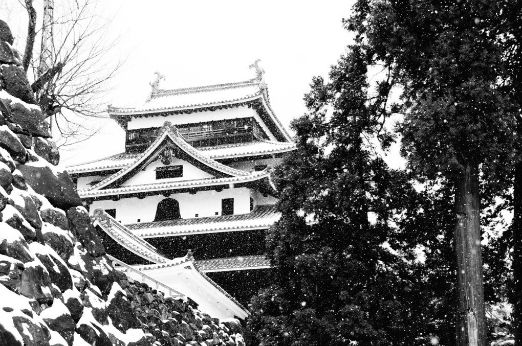 雪の松江城