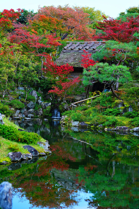 Autumn reflections  ー冬立つ依水園ー