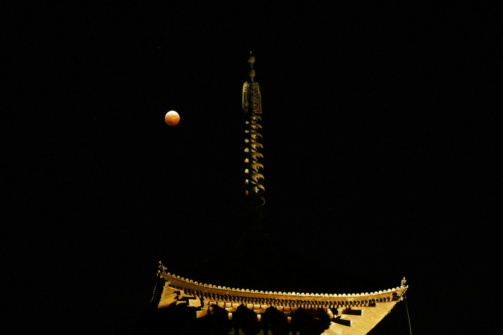 興福寺夜景  ー月食の日にー
