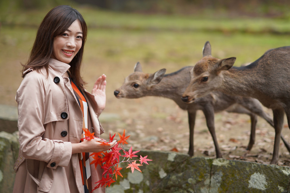 奥山に 紅葉踏み分け 冬が立つ