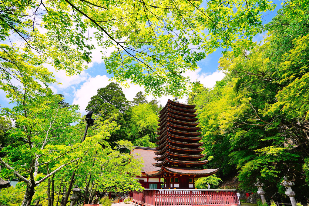 新緑の談山神社