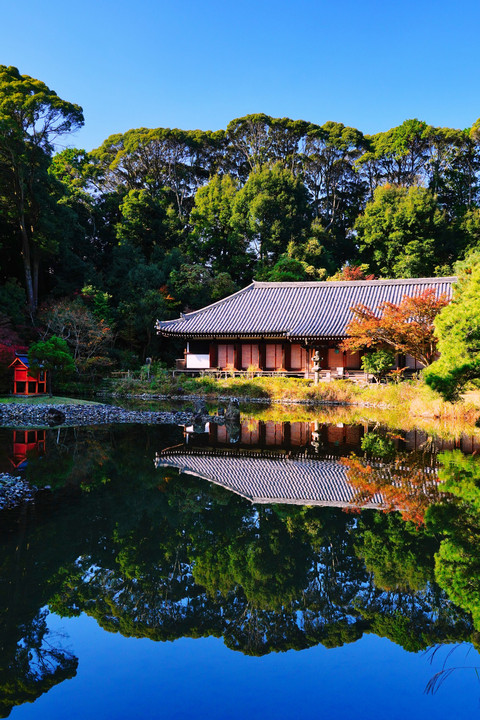 錦秋を待つ　浄瑠璃寺