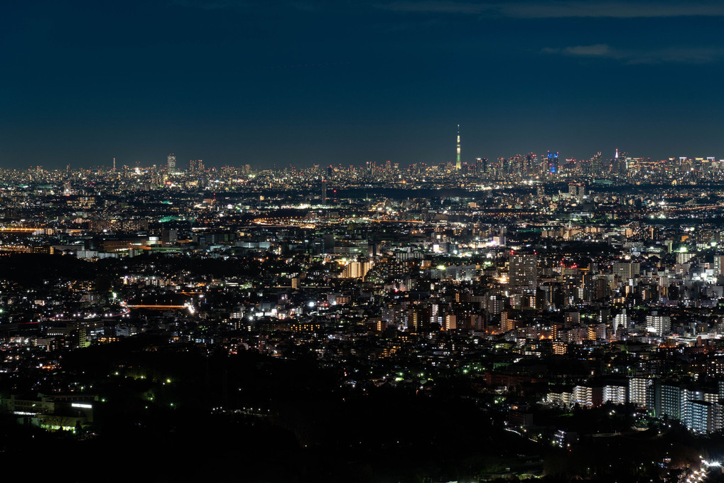 武蔵国からの東京夜景