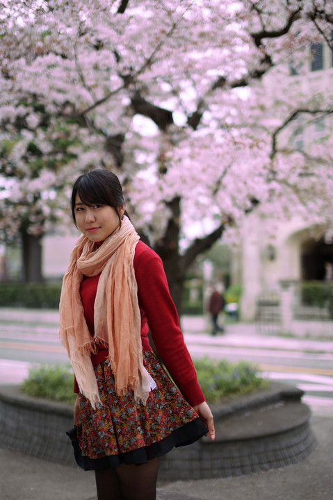 桜の記憶