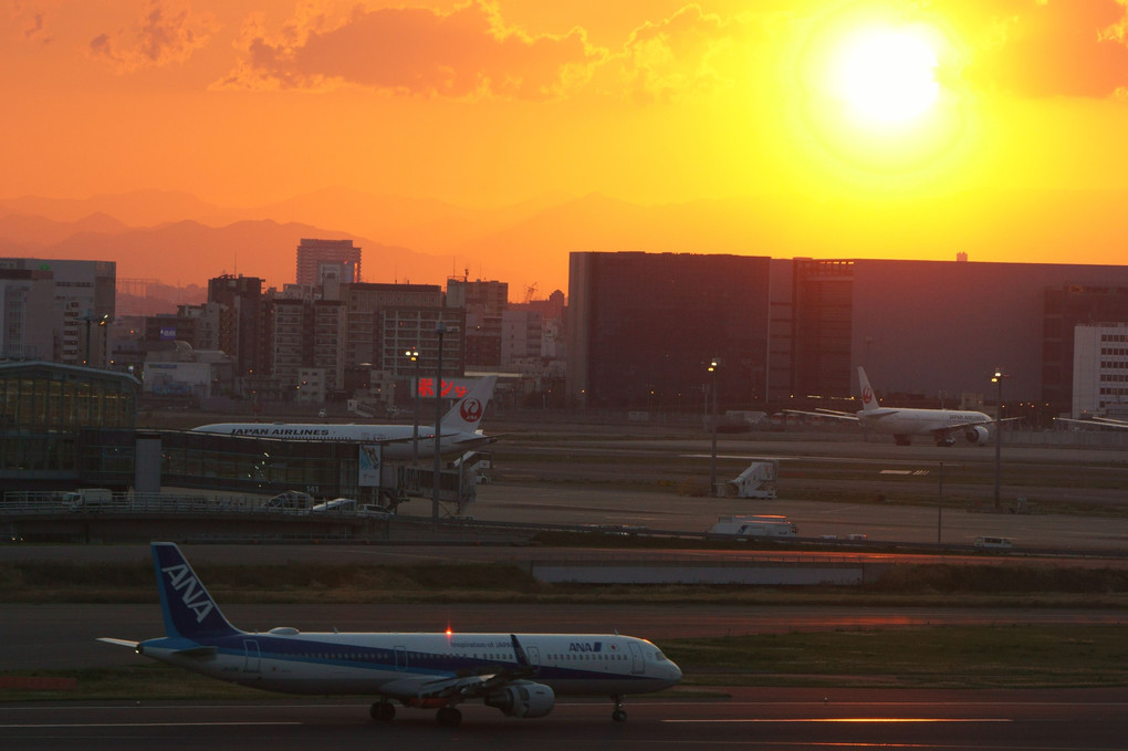 夕日に染まる羽田空港