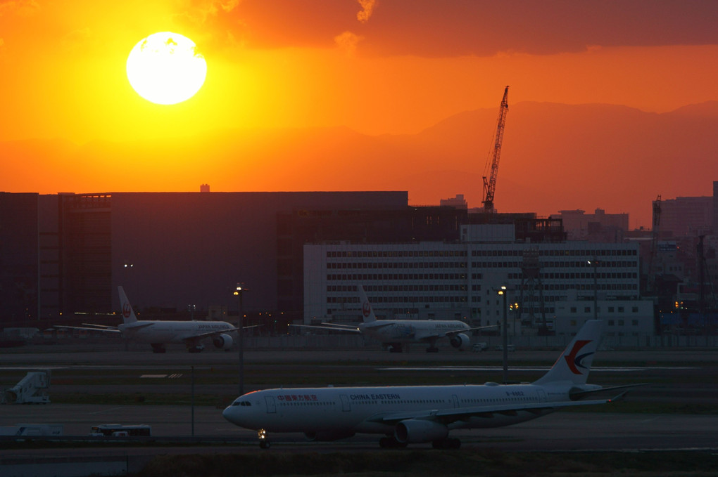 夕日に染まる羽田空港