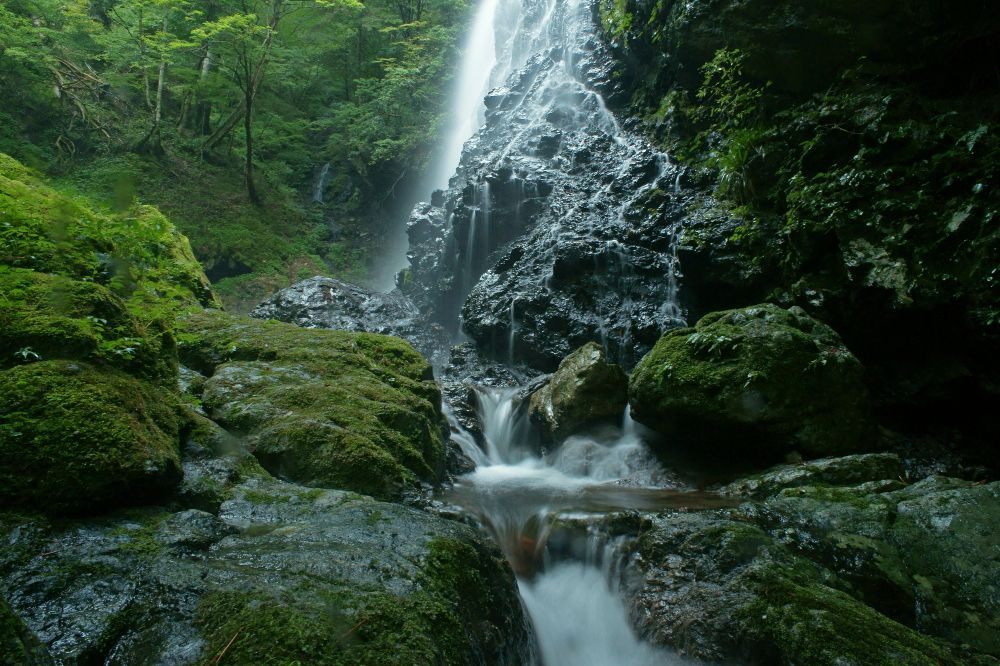 堂々たる滝姿