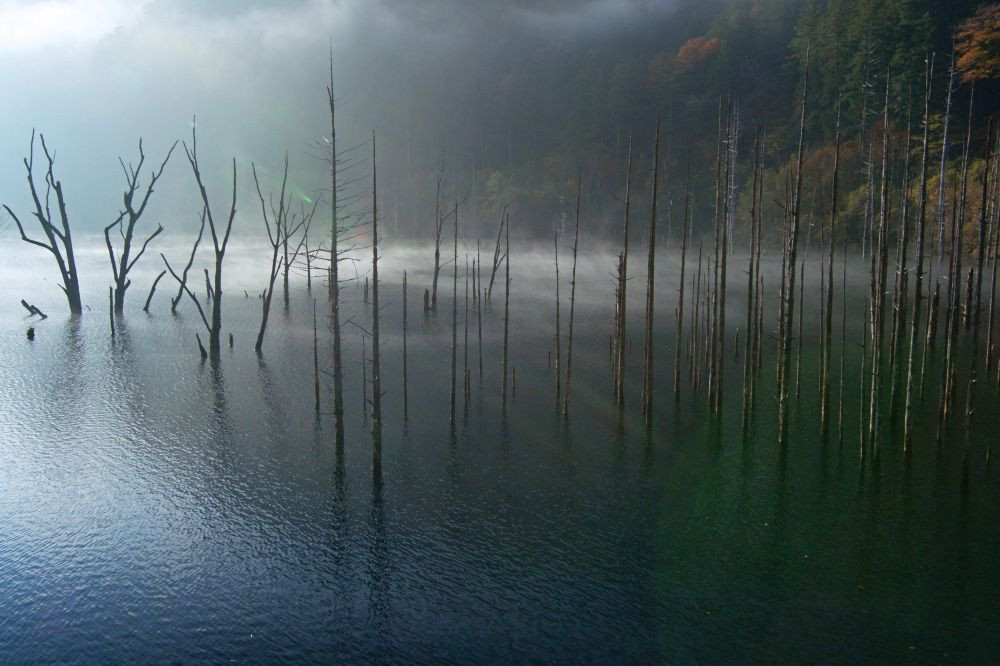 早朝の自然湖